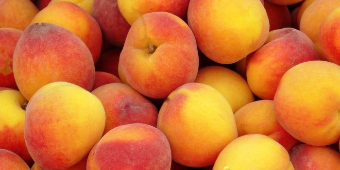 1366x768 Download wallpaper 1366x768 peaches, background, fruit, ripe tablet