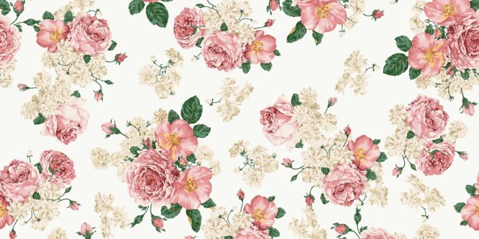 1920x1200 17920 flower laptop wallpaper