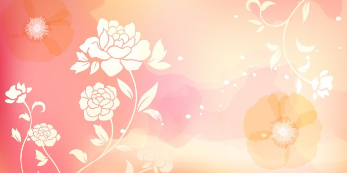 1920x1200 1080p – Flower HD Wallpapers for Laptop, Android, Tablets