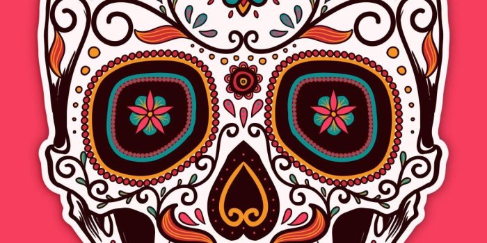 1080x1920 Skeleton Iphone Wallpaper - (40+) Group Wallpapers
