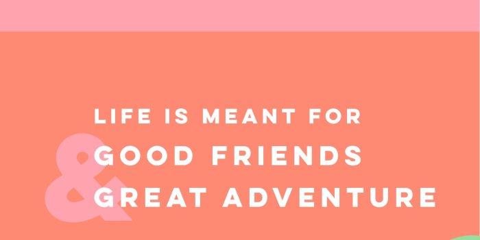 2251x4000 June 2018 Tropical Flowers Wallpaper - Sarah Hearts