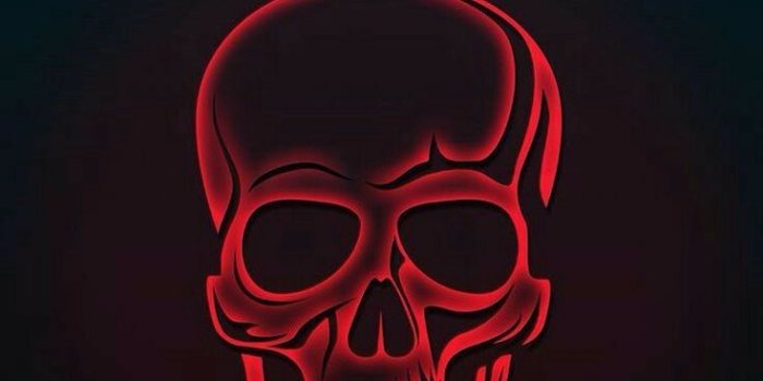 736x1377 Adi Official on Cool Graphic Stuff ♢♢♢ in 2019 | Skull