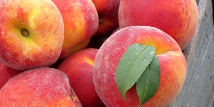 1366x768 Download wallpaper 1366x768 peach, leaves, fruit tablet, laptop hd