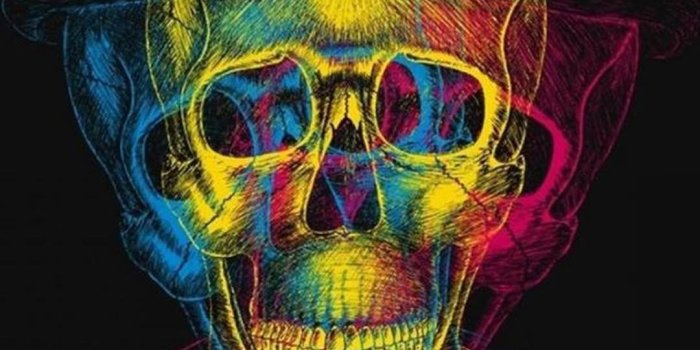 1080x1920 Apple Skull iPhone Wallpapers - Top Free Apple Skull iPhone
