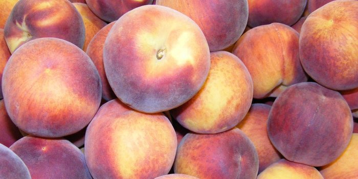 1366x768 Peach wallpapers 1366x768 (laptop) desktop backgrounds