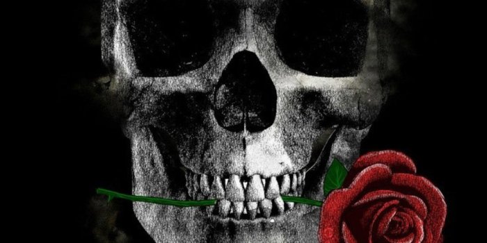 1280x2120 Flower Skull Iphone Wallpaper - Flowers Healthy