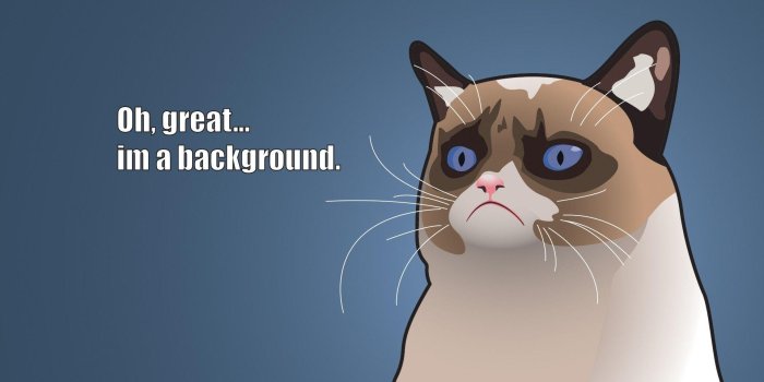 1920x1080 Animated Cat Desktop Wallpapers - Top Free Animated Cat Desktop Backgrounds  - WallpaperAccess