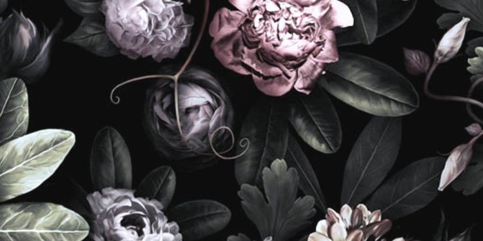 1588x1919 Dark Floral Wallpaper, floral wallpaper, dark flowers, Peony