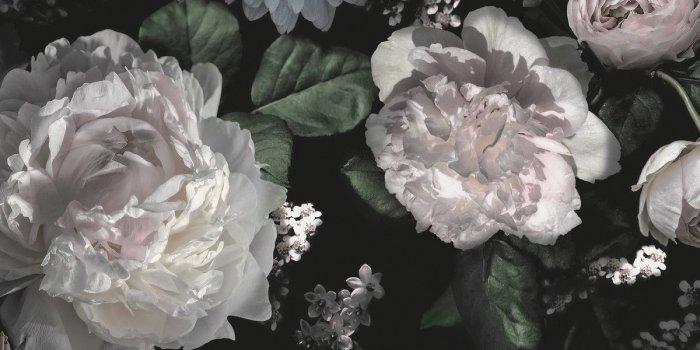 1200x1200 Dark Floral Wallpaper Art