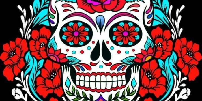 800x1020 Girly Skull Wallpapers - Top Free Girly Skull Backgrounds