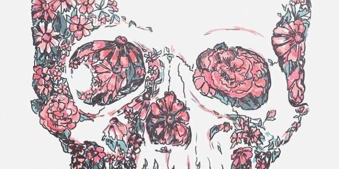 730x1095 background, cute, flower, frilly, girly, iphone, pink, skull