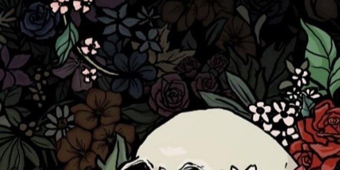1080x2220 Wallpaper | Art ♡ in 2019 | Skull wallpaper, Skull art, Wallpaper
