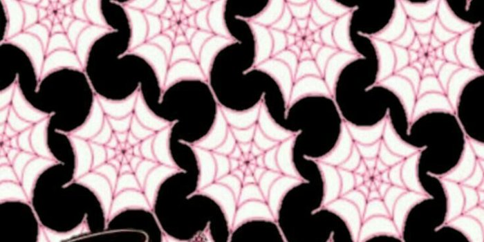 736x1308 Girly Skull Wallpapers - Top Free Girly Skull Backgrounds