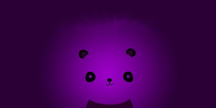 1920x1200 Cute Purple Panda Wallpapers
