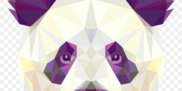 900x900 Polar Bear Cartoon png download - 3333*3333 - Free Transparent Giant