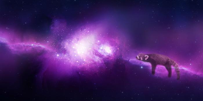 2559x1599 Just made this while bored: The Red Panda Nebula : wallpapers