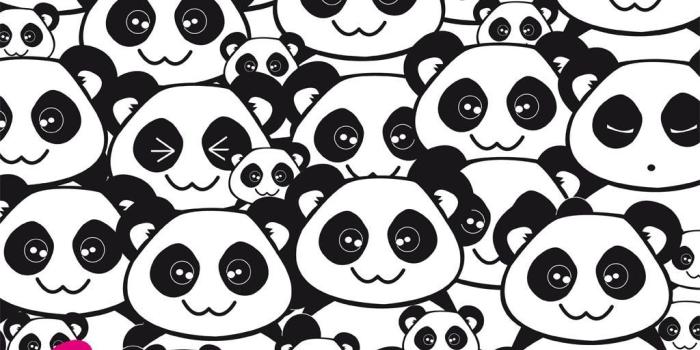 1024x768 Panda Funk Wallpapers