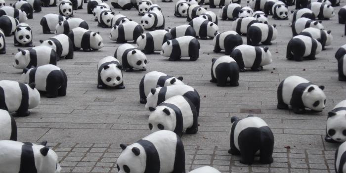 1920x1440 Purple Panda Placements | LinkedIn