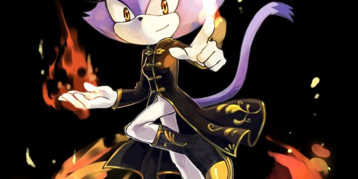 812x1180 Blaze the Cat - Sonic Rush Adventure - Mobile Wallpaper #1615763