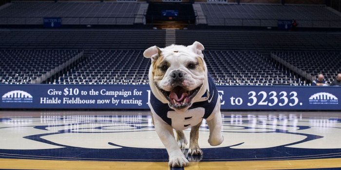 1024x768 Butler Basketball Wallpapers