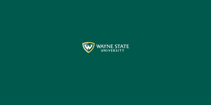 1536x768 Wayne State University | LinkedIn