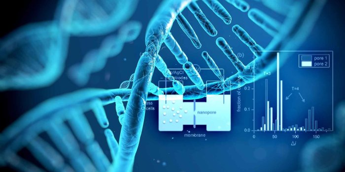 1920x1080 66+ Indiana University Wallpapers on WallpaperPlay