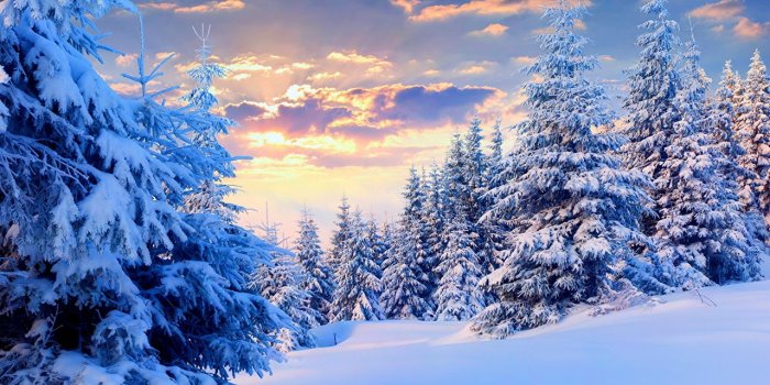 1280x908 Desktop Wallpapers Nature Spruce Winter Sky Snow Seasons