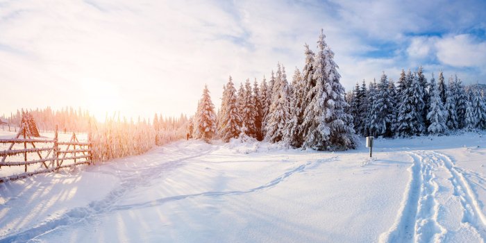 5200x3000 Nature Backgrounds,winter HD Nature Wallpapers,widescreen, Snow