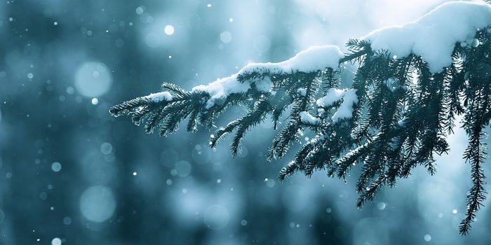 1920x1440 Winter Snow Wallpapers Mobile : Nature Wallpaper Dudaite Winter