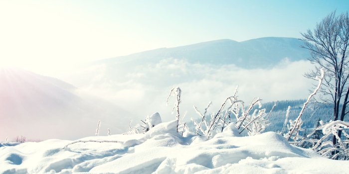 2560x1600 Snow Nature Wallpaper #6930957