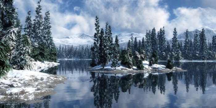 1920x1200 Snow Forest Wallpaper (61+ images)