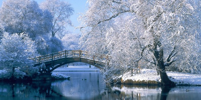 1920x1200 Winter in the park, snow, lake, bridge, nature wallpapers | Winter