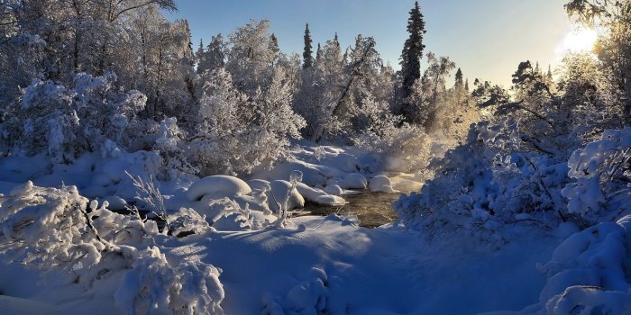 1920x1200 Sun shining above the snowy nature wallpaper - Nature wallpapers