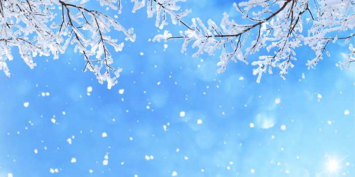 5200x3900 Image Nature Winter Snow Branches 5200x3900