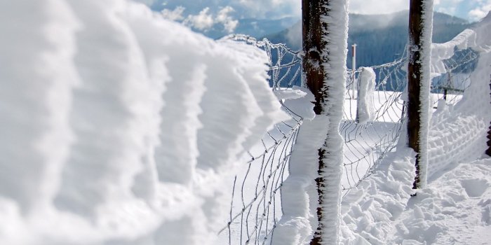 1920x1440 First Snow Wallpaper Winter Nature Wallpapers in jpg format for free