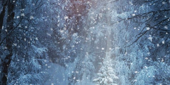 720x1520 Winter Snow Nature Landscape Wallpaper - [720x1520]