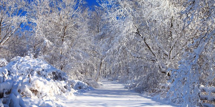 1920x1080 Still white snowy nature wallpaper - Nature wallpapers - #52217