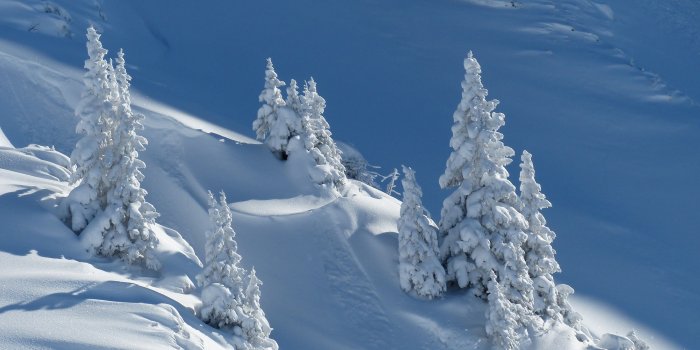 3840x2160 Wallpaper snow, winter, trees, 4k, Nature Wallpaper Download - High