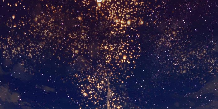 1135x2270 Ansatsu Kyoushitsu Wallpapers (76+ pictures)