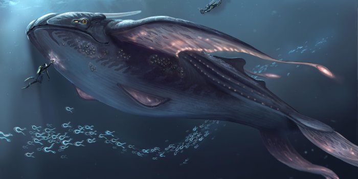 6000x3671 Subnautica Wallpapers