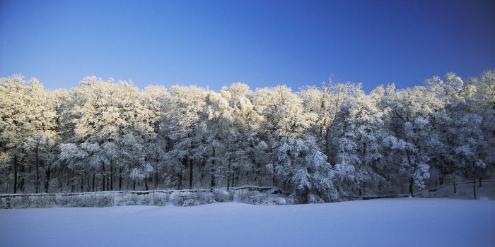 5515x3102 2935647 winter snow nature trees wallpaper and background | Nature