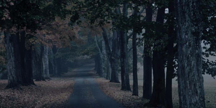 3840x2160 70+ Creepy Fall Wallpapers - Download at WallpaperBro