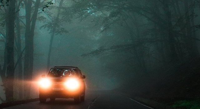 640x1385 Georgia iPhone X wallpaper #light #forest #spooky #fog #Car | iPhone