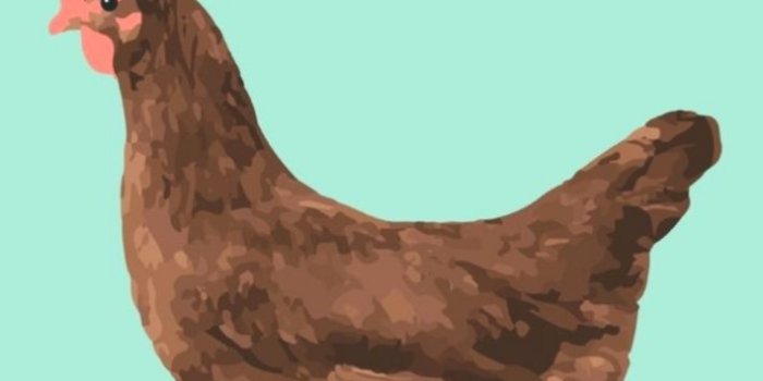 709x1280 Wallpaper Iphone - Cool Beans — I made some iconic vine wallpapers