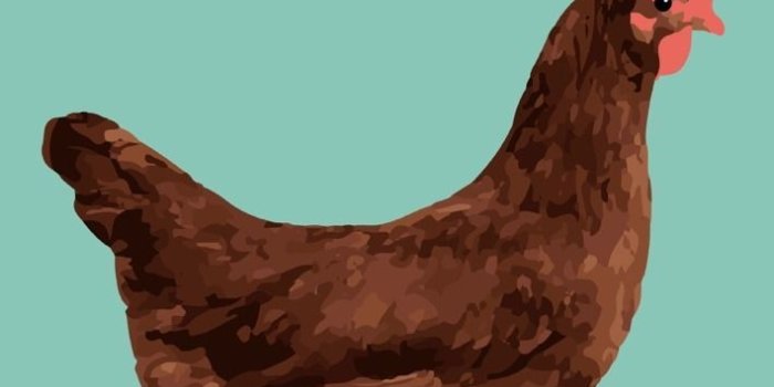 709x1280 Pattern Sfondi Cool Beans — I made some iconic vine wallpapers