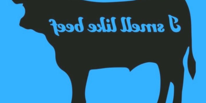 719x1280 Wallpaper Iphone - Cool Beans — I made some iconic vine wallpapers