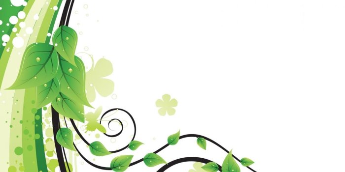 1680x1050 Vine Wallpaper - (50+) Group Wallpapers