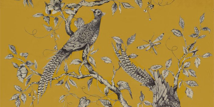 1366x1366 Style Library - The Premier Destination for Stylish and Quality