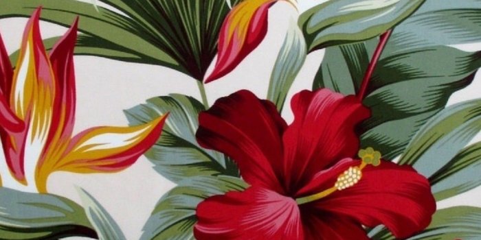 1080x1920 Tropical Flowers Red Hibiscus - Tap to see more #florence broadhurst