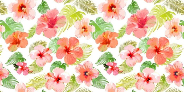 1024x768 Best HD Tropical Flowers Wallpapers feelgrPH | Tropical in 2019